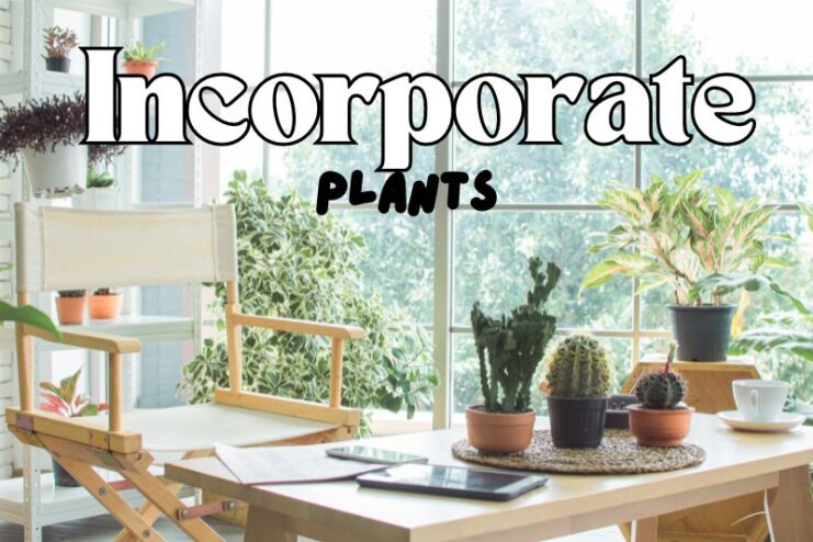 Incorporate Plants