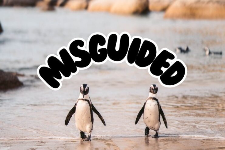 Misguided Mating Instincts In Penguins