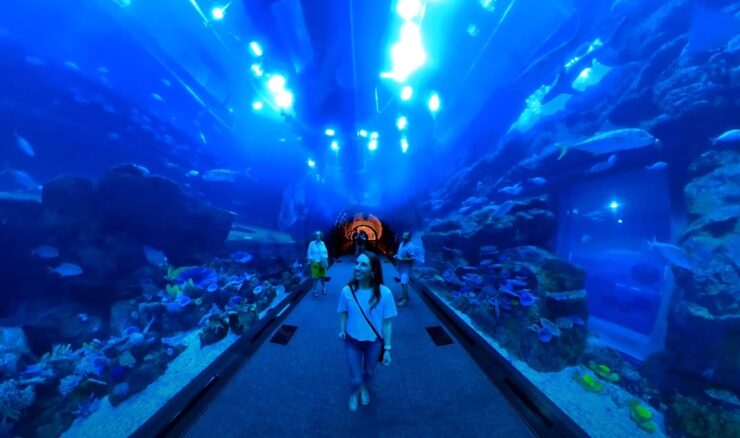 Best aquariums globally