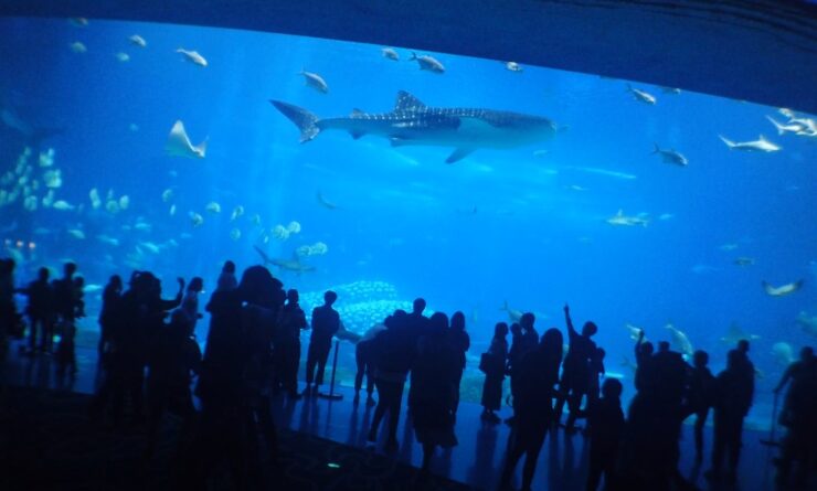 World's largest aquariums 2024